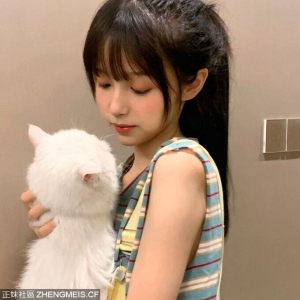 清新正妹與貓貓