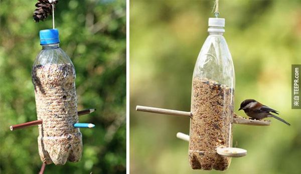 plastic-bottles-recycling-ideas-1.jpg