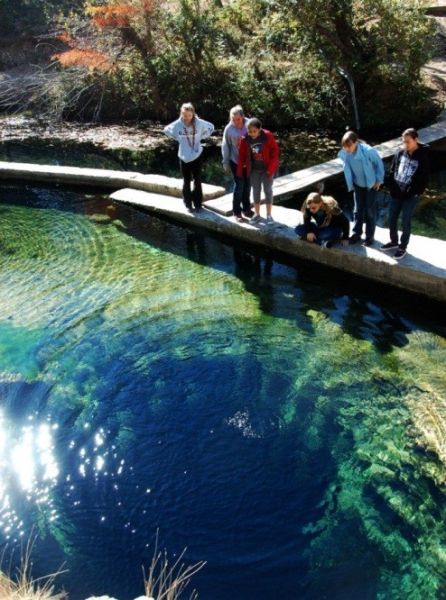 jacobs-well-natural-area.jpg