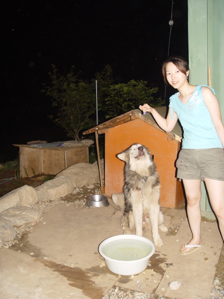 fe393def0c87904d5a845e91293b635a.jpg