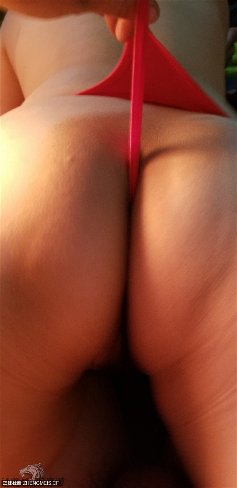2f77db42f8205bdd3516140d3c0293a0.jpg