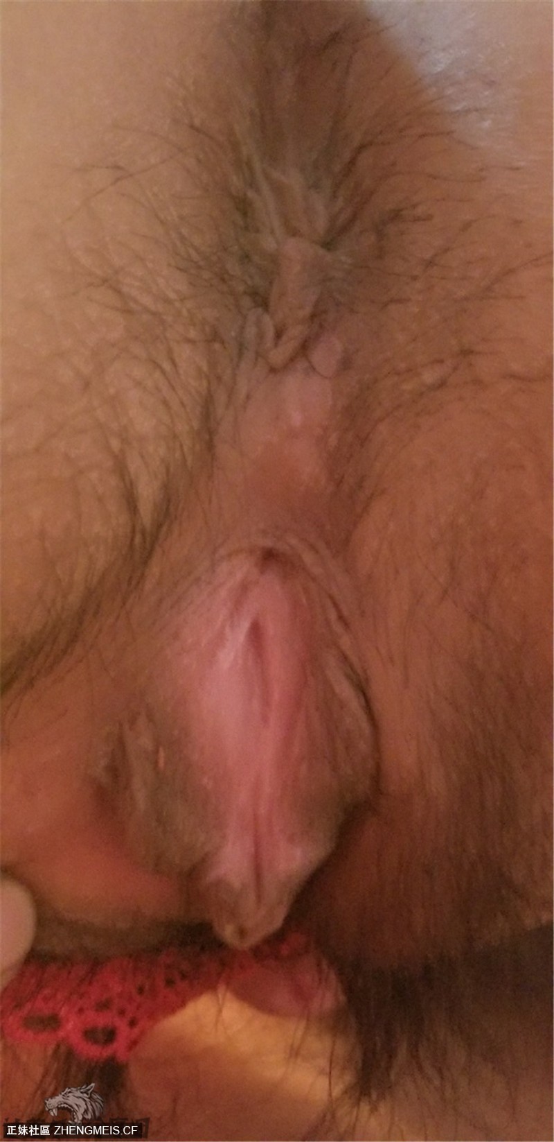 00b2cffeb1beaf986a10e359dcad816e.jpg
