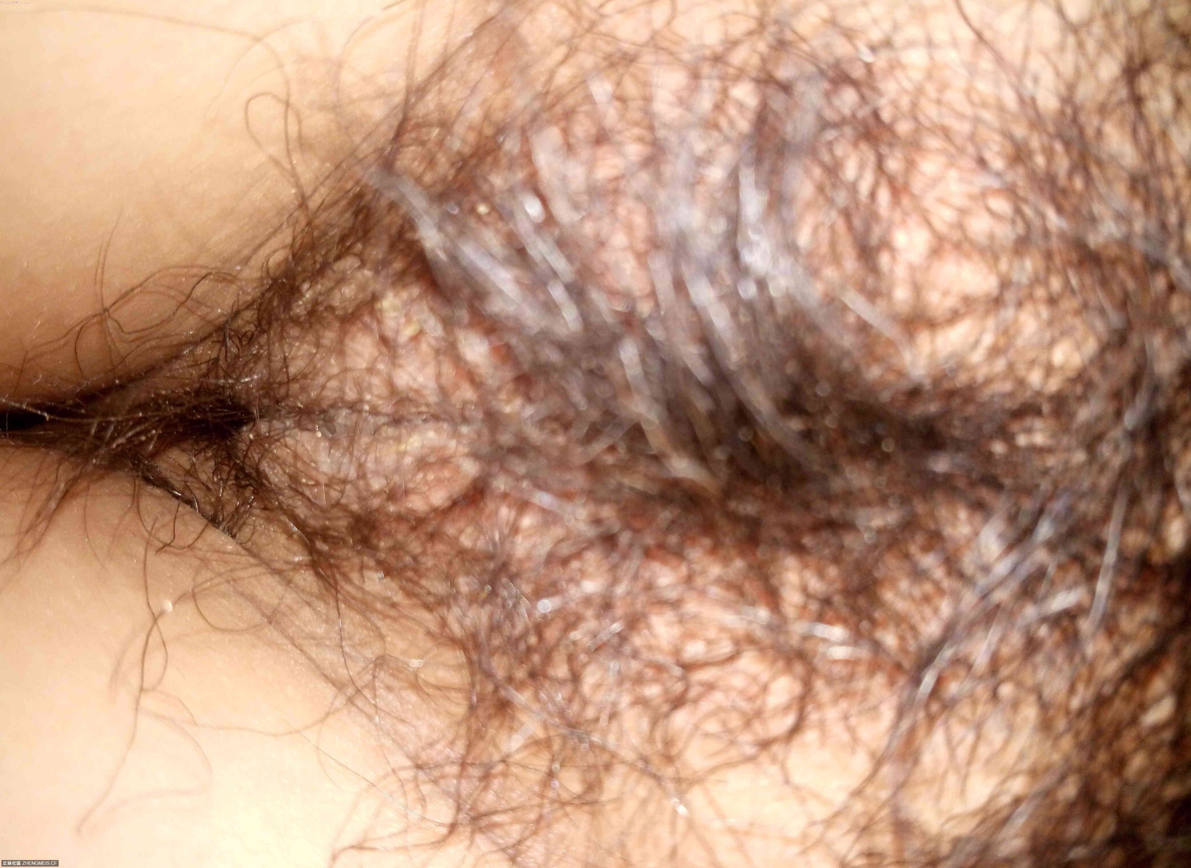 83fdec03c5edd5531915a42cf6238659.jpg