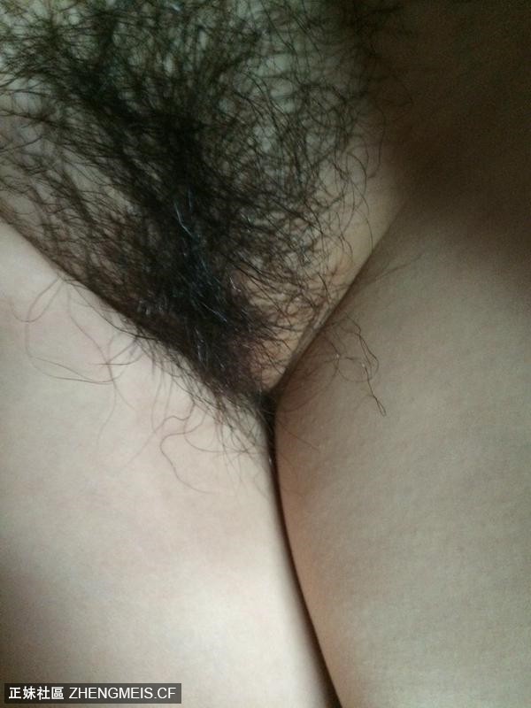78c7c0a350576a5ac25bc1674d657e03.jpg