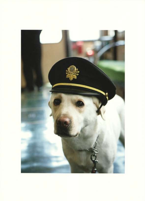 zKNUGa.jpg