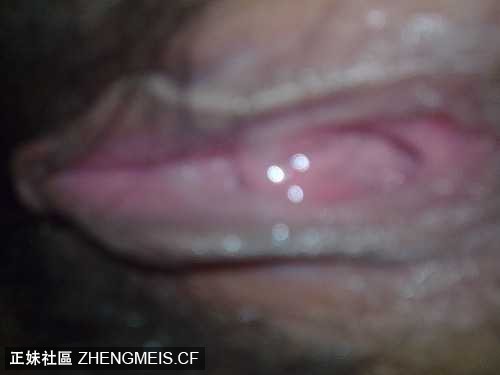 982FE16E-CCC4-44AB-BDE9-89261B12D35A.jpeg