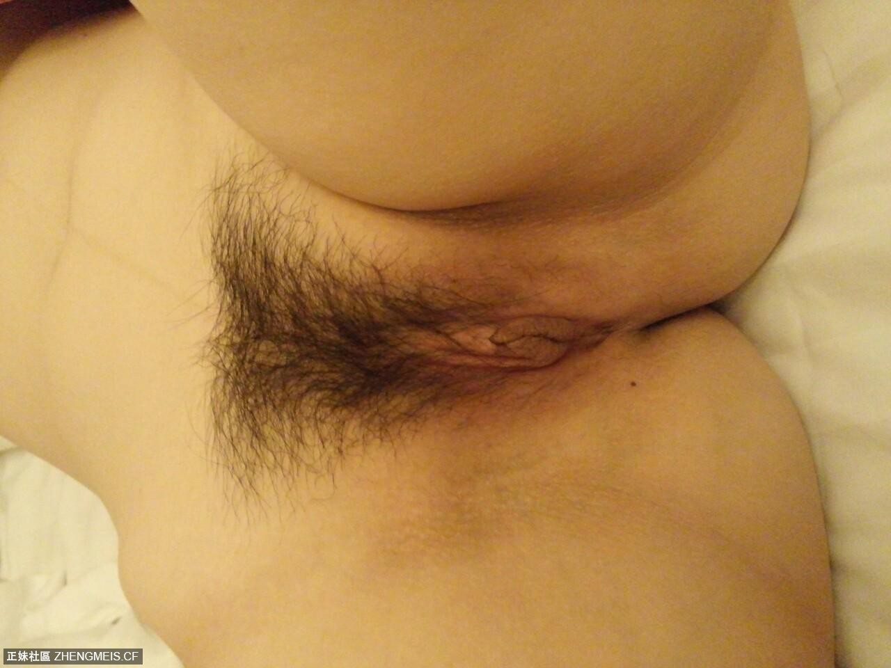 4105b84bf336f0fddd7946cc88c5851b.jpg