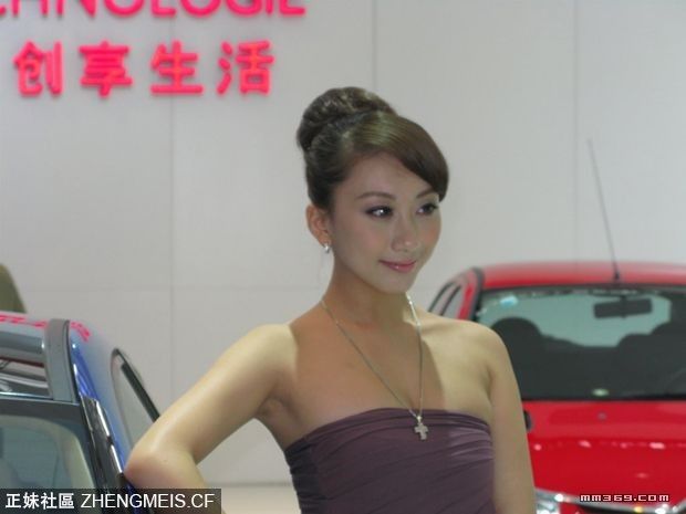 2009广州车展美女第一季
