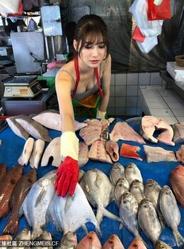 台湾美孝顺女阿澎帮家里忙卖鱼