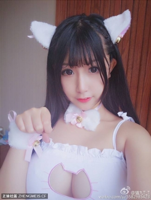 家里的白色猫咪